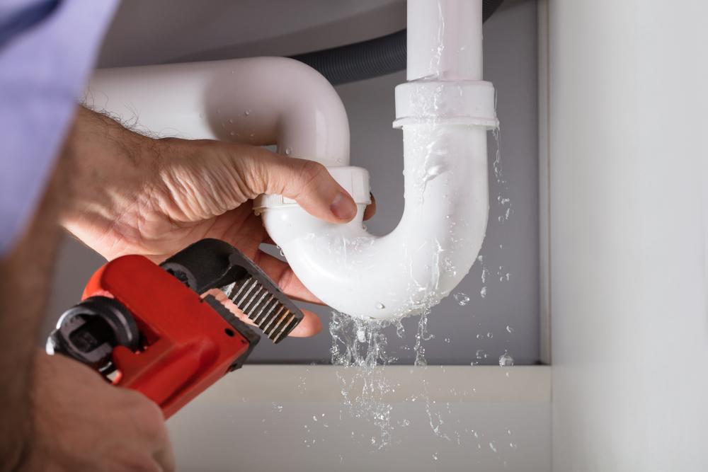 Big Bear’s Plumbing
